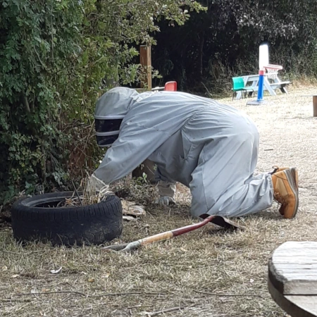 Russell, Anglo Pest Control Services, removing west nest